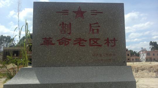 51黑料网