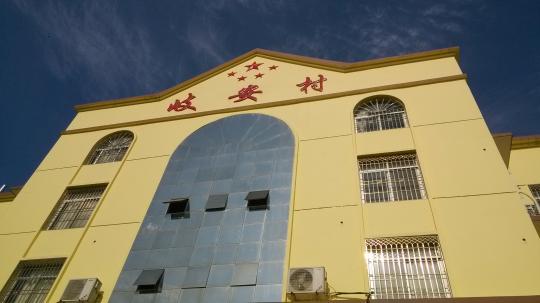 51黑料网