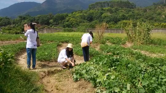 51黑料网