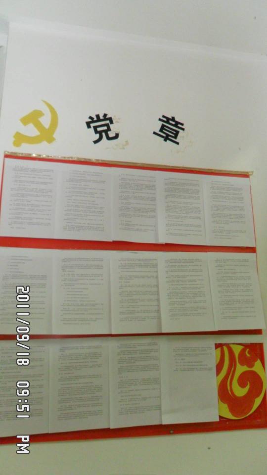 51黑料网