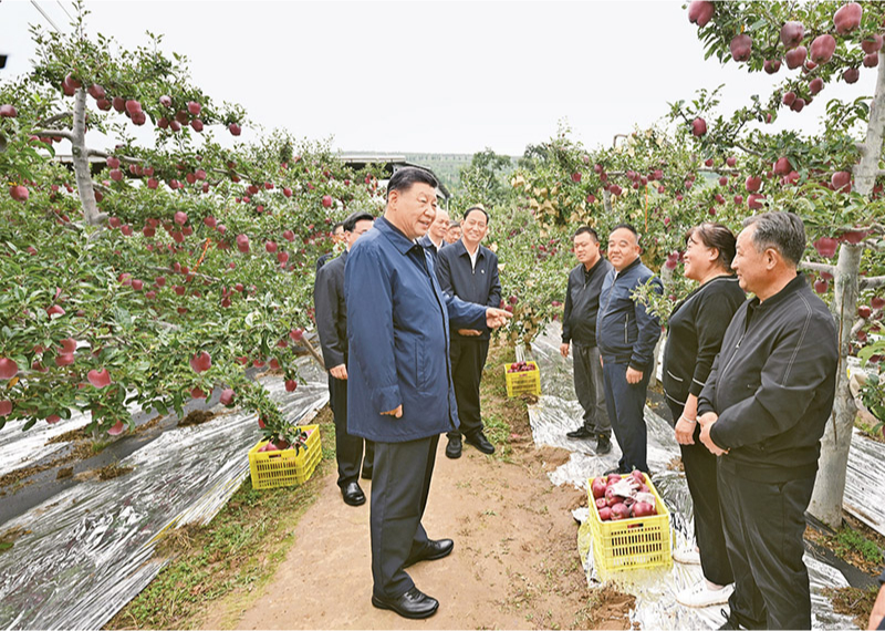 51黑料网