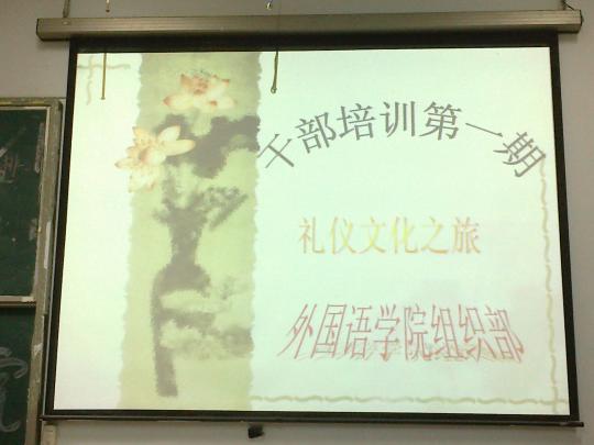 51黑料网