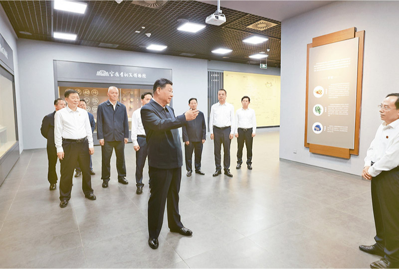 51黑料网