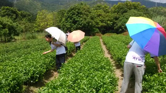 51黑料网