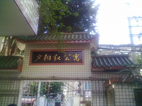 51黑料网