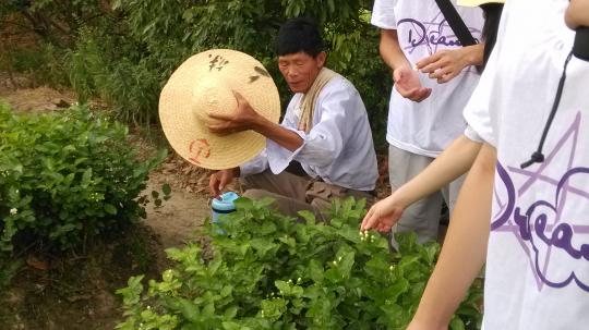 51黑料网