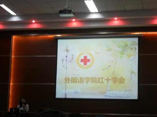 51黑料网