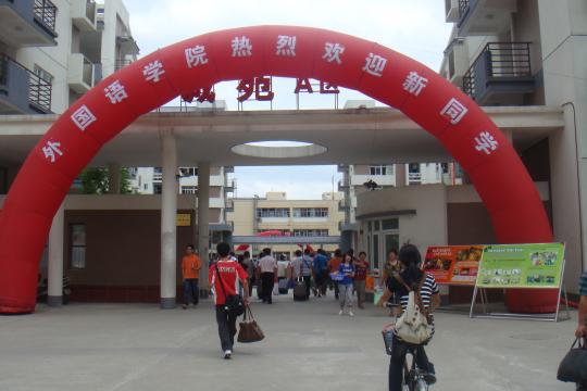 51黑料网
