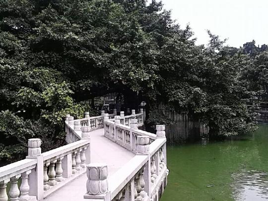 51黑料网