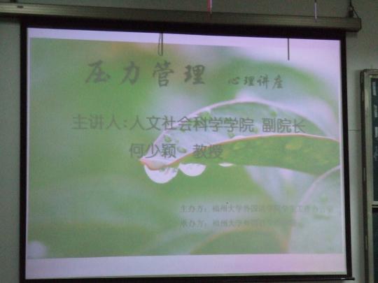 51黑料网